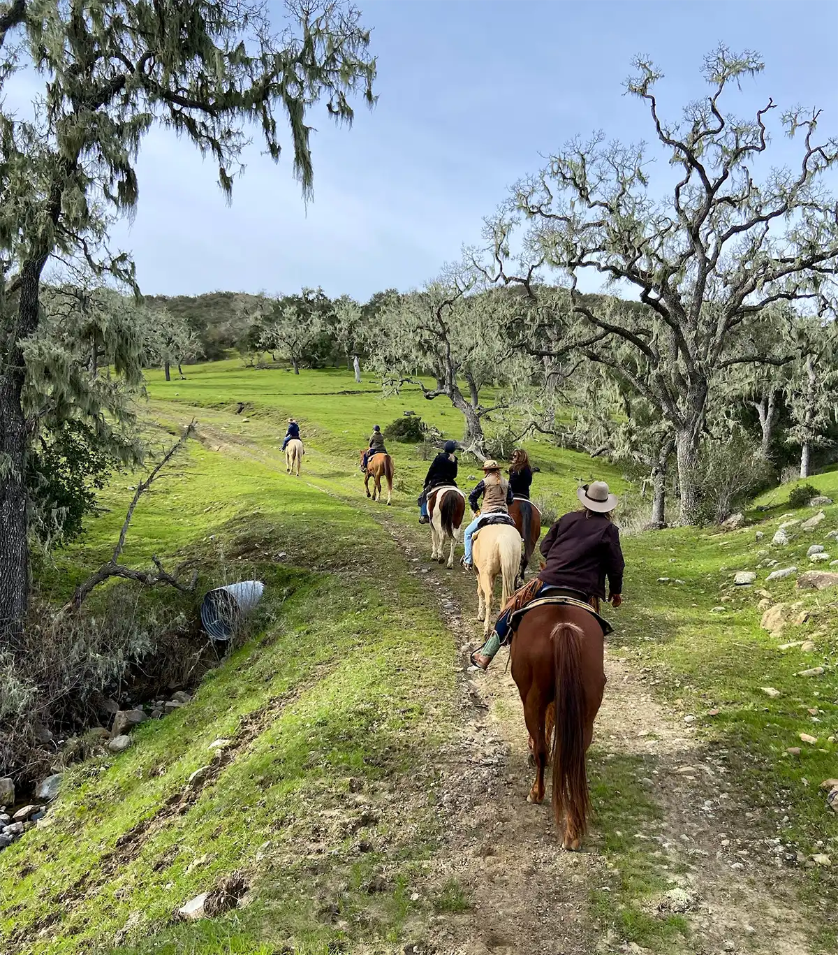 women on a trail ride through the beautiful Alisal Ranch during their women's retreat with horse